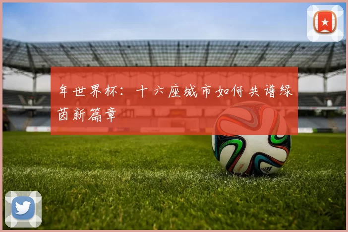 年世界杯：十六座城市如何共谱绿茵新篇章