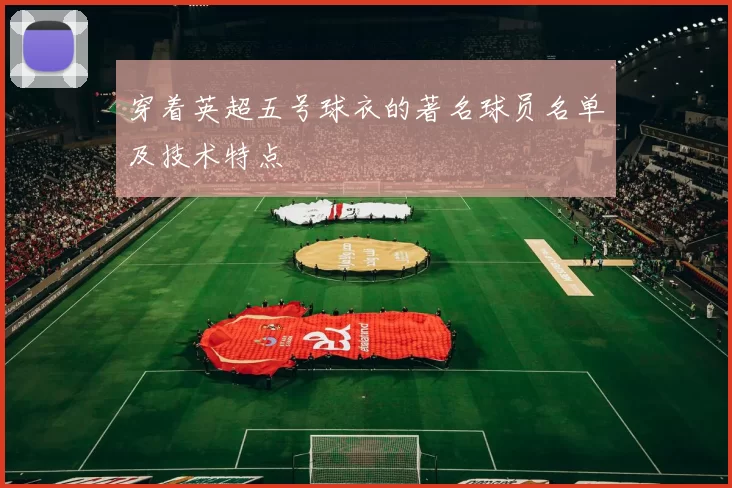 穿着英超五号球衣的著名球员名单及技术特点