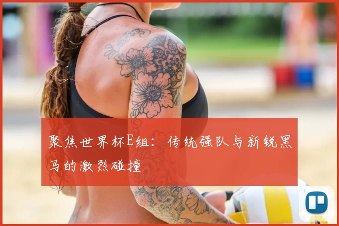 聚焦世界杯E组:传统强队与新锐黑马的激烈碰撞