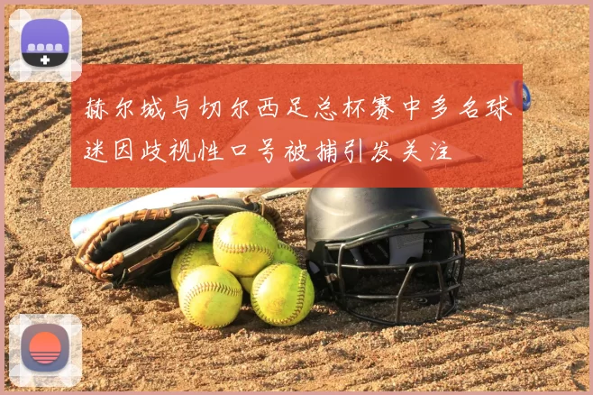 赫尔城与切尔西足总杯赛中多名球迷因歧视性口号被捕引发关注
