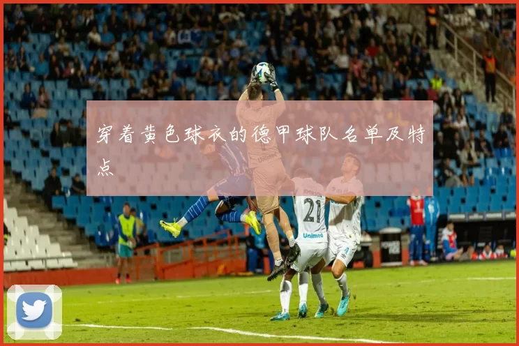 穿着黄色球衣的德甲球队名单及特点