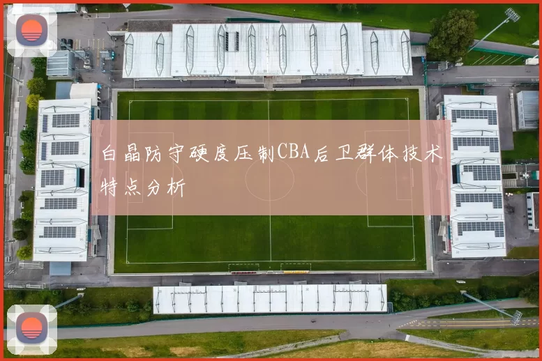 白晶防守硬度压制CBA后卫群体技术特点分析