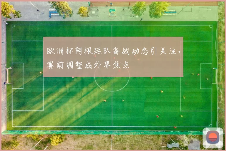欧洲杯阿根廷队备战动态引关注,赛前调整成外界焦点