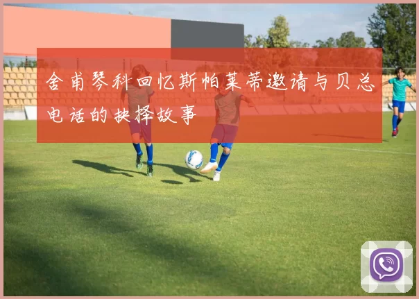 舍甫琴科回忆斯帕莱蒂邀请与贝总电话的抉择故事