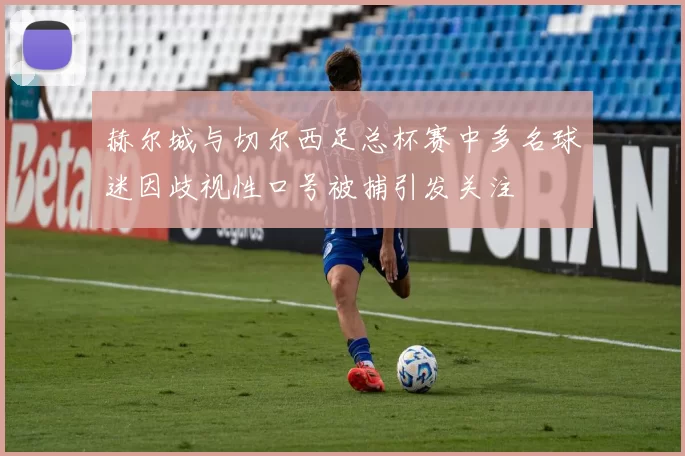 赫尔城与切尔西足总杯赛中多名球迷因歧视性口号被捕引发关注