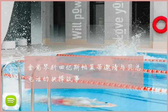 舍甫琴科回忆斯帕莱蒂邀请与贝总电话的抉择故事