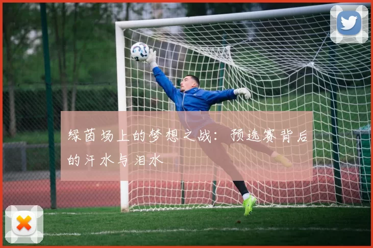 绿茵场上的梦想之战：预选赛背后的汗水与泪水