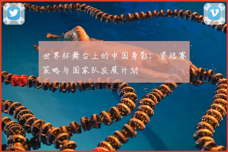 世界杯舞台上的中国身影：资格赛策略与国家队发展计划