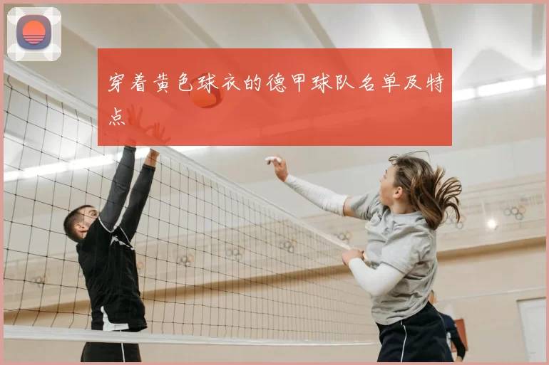 穿着黄色球衣的德甲球队名单及特点